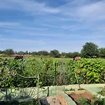 Holiday home Bacalandia- Relax Na Samote *