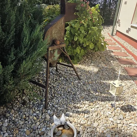 Bacalandia- Relax Na Vidieku *